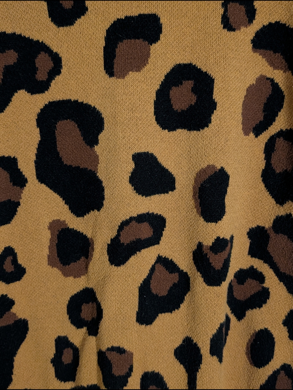 Leopard Print Sweater - Picture 3 of 6